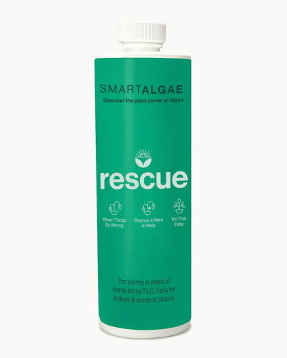 SmartAlgae Rescue