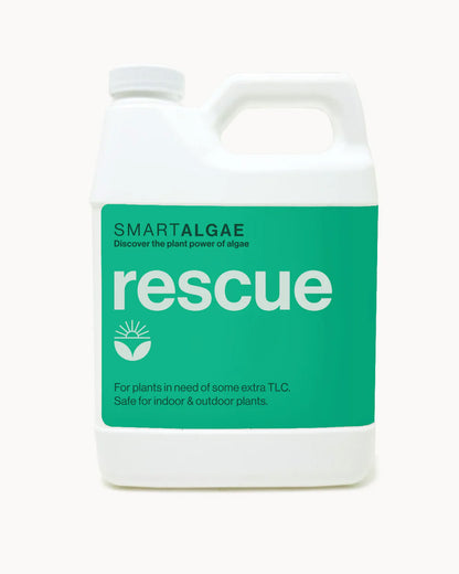 SmartAlgae Rescue