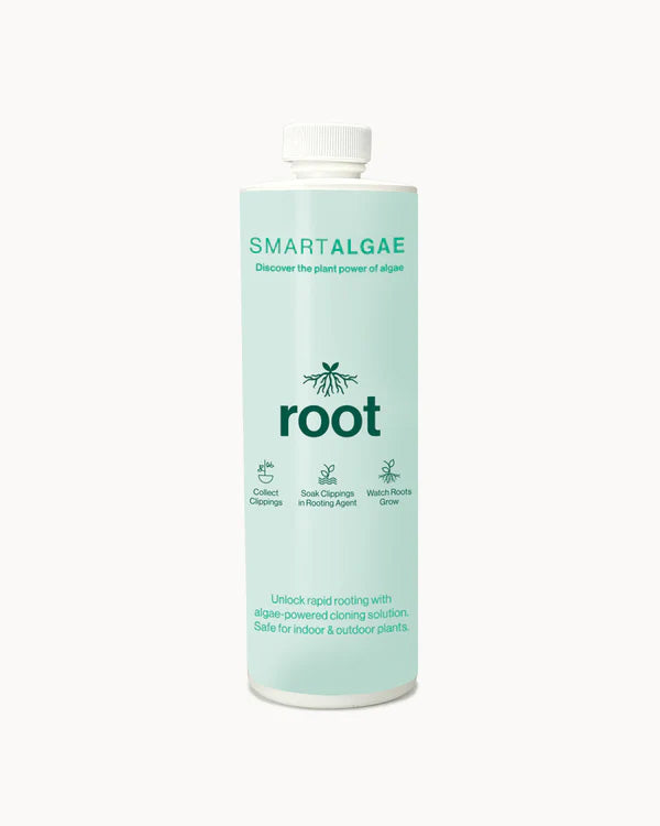 SmartAlgae Root