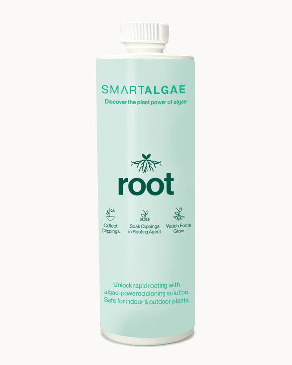 SmartAlgae Root